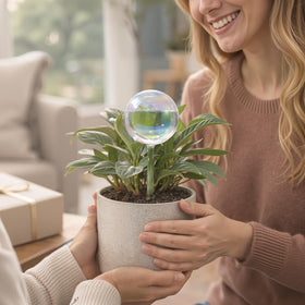 Soilagua irrigation globe in herb pot demonstrates effortless daily hydration.