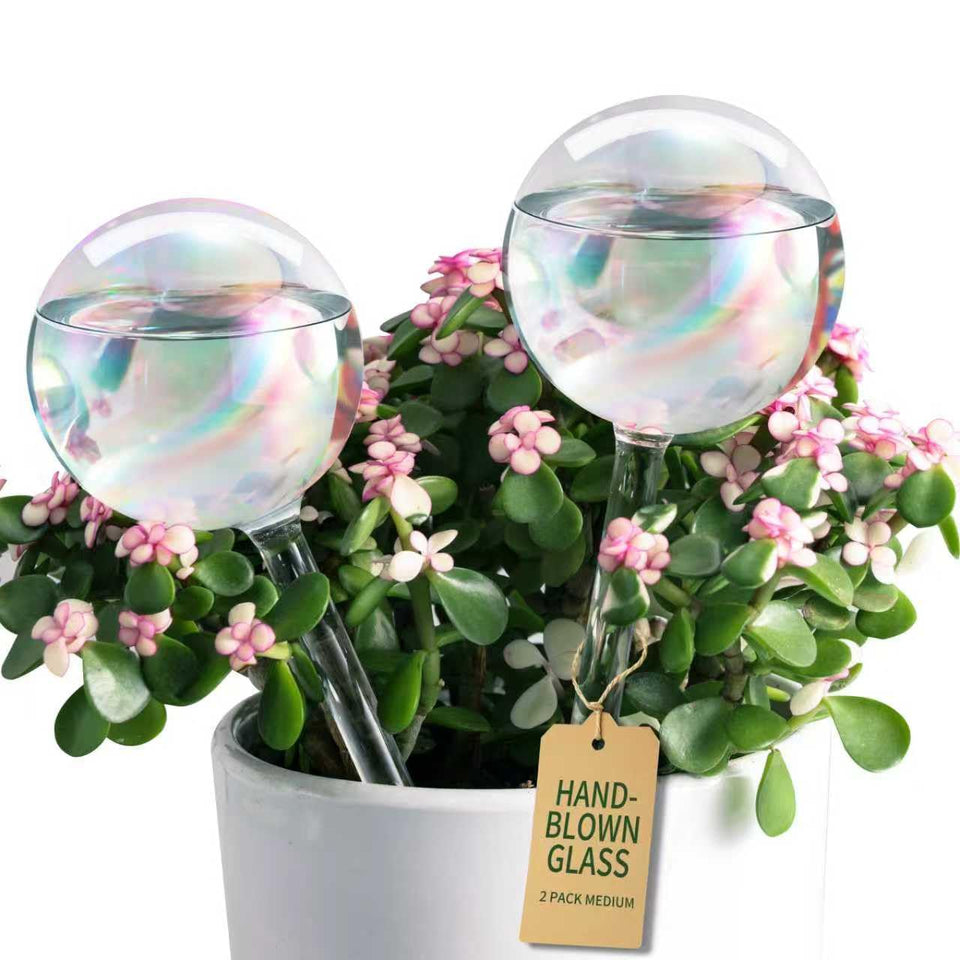 Soilagua extra-thick glass watering globe with rainbow finish for decorative moisture delivery
