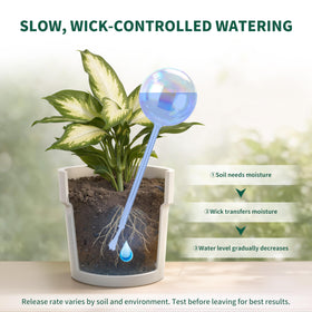 Soilagua iridescent glass bulb in soil supports balanced moisture levels.