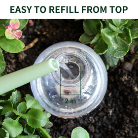 Soilagua globe placed in a pot provides bottom watering.