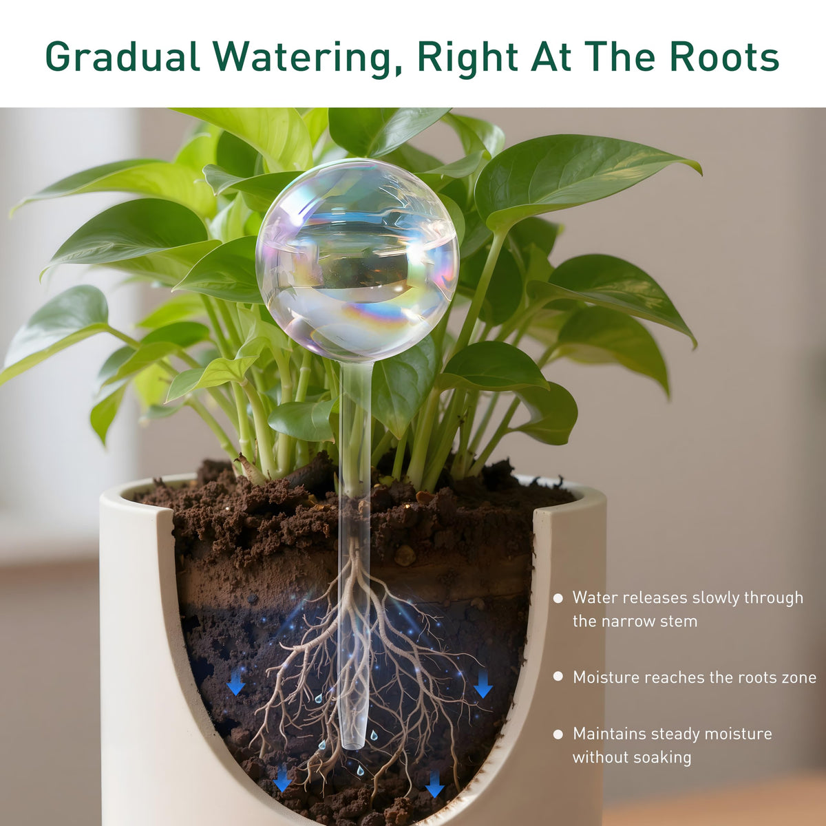 Soilagua clear-glass globe feeds moisture directly to soil.