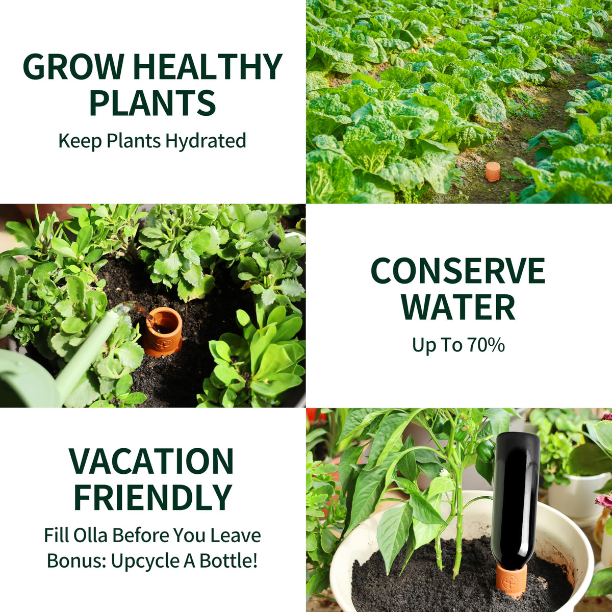 Indoor and outdoor plant setup using Soilagua ollas for versatile watering.