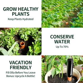 Indoor and outdoor plant setup using Soilagua ollas for versatile watering.