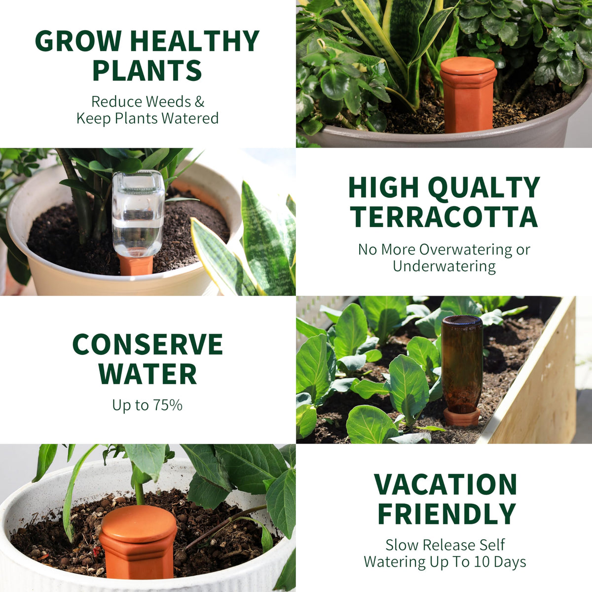 Soilagua indoor outdoor setup shows versatile use for plants at home or away.