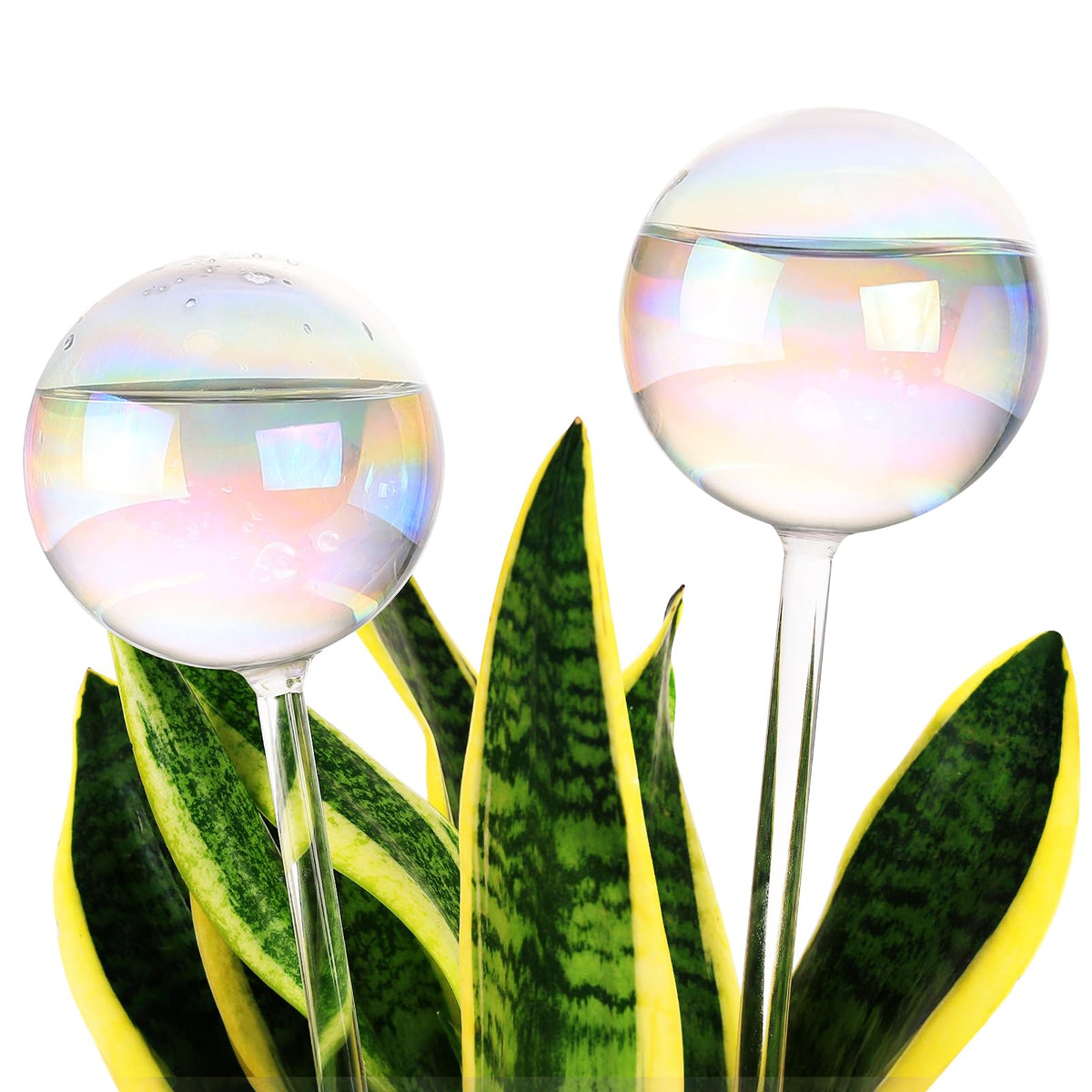 Soilagua iridescent glass watering globe close-up in soil delivering steady moisture.