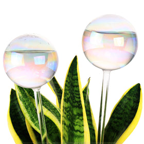 Soilagua iridescent glass watering globe close-up in soil delivering steady moisture.