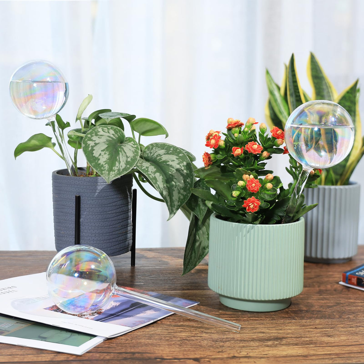 Soilagua iridescent glass globe in pot showcases soft glow for decorative watering.