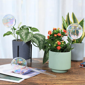 Soilagua iridescent glass globe in pot showcases soft glow for decorative watering.