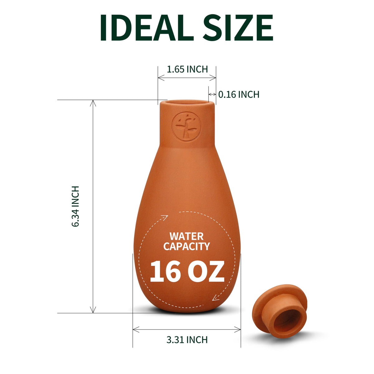 Soilagua Olla placed in soil near roots for efficient hydration.