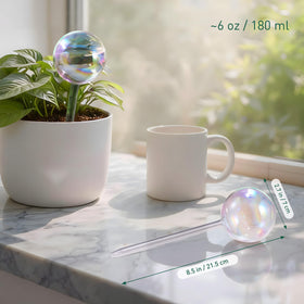 Soilagua rainbow-gradient glass globe adds shimmer while delivering steady hydration