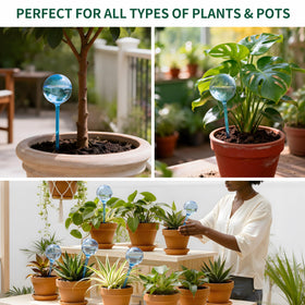 Soilagua self-watering insert demonstrates effortless plant care