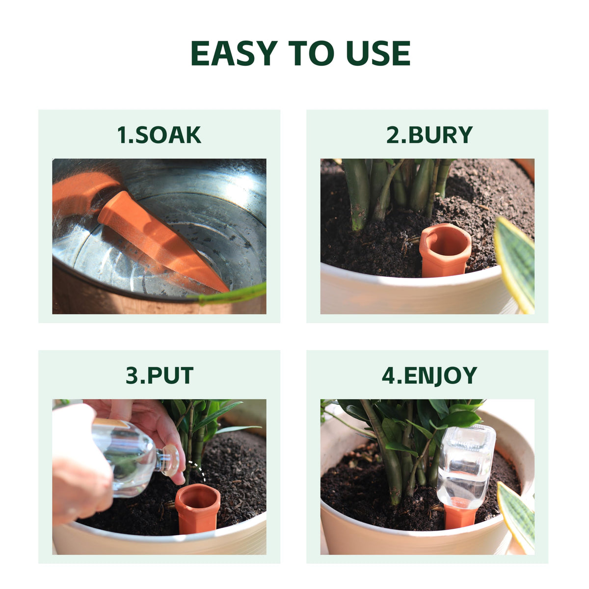 Soilagua self-watering-stake demonstrates simple installation in indoor pots.