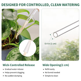 Soilagua wick-controlled globe used during vacation to keep soil evenly moist.