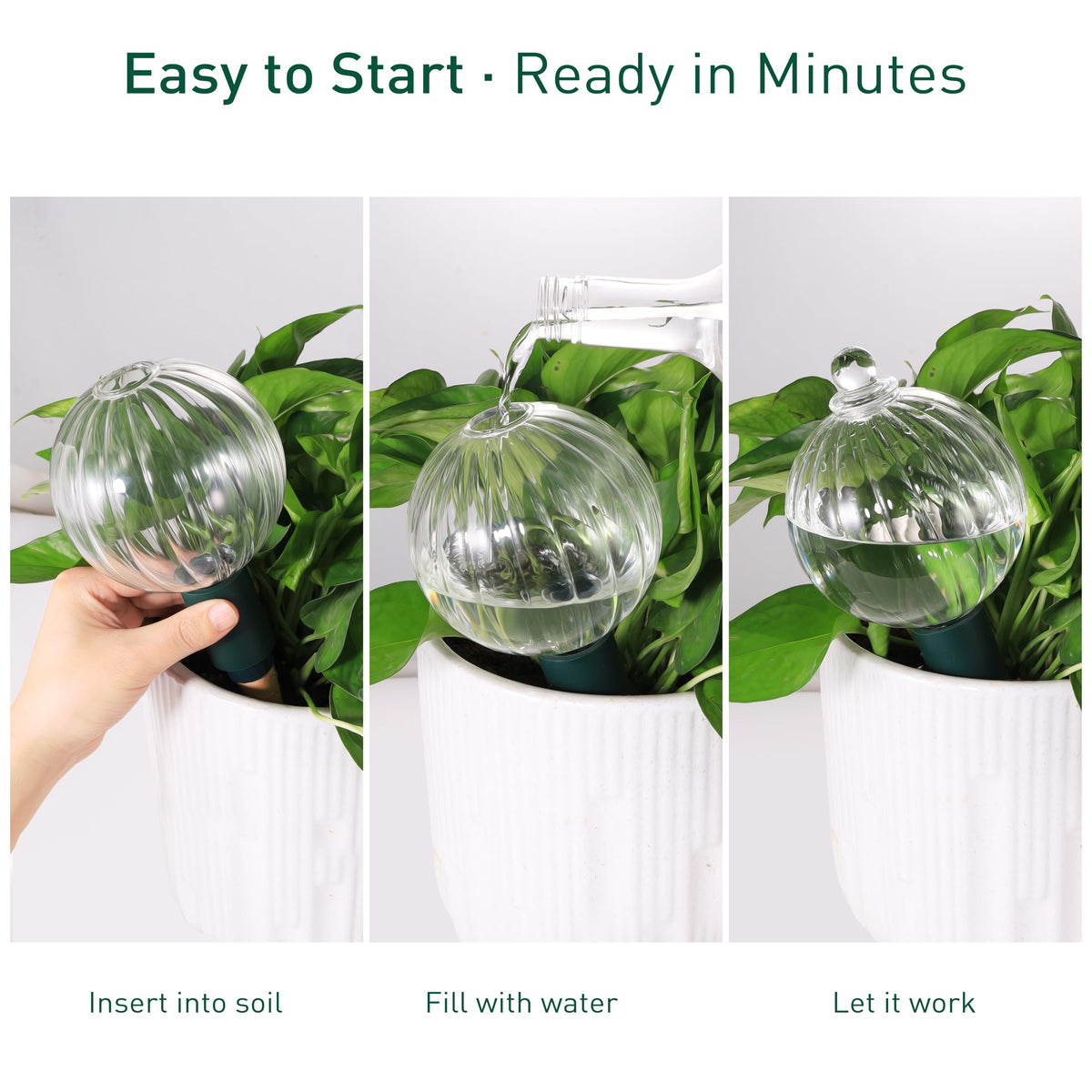Soilagua vacation watering device keeps plants thriving away