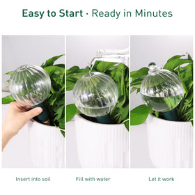 Soilagua vacation watering device keeps plants thriving away