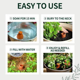 Vacation watering solution with Soilagua for easy plant care while away.