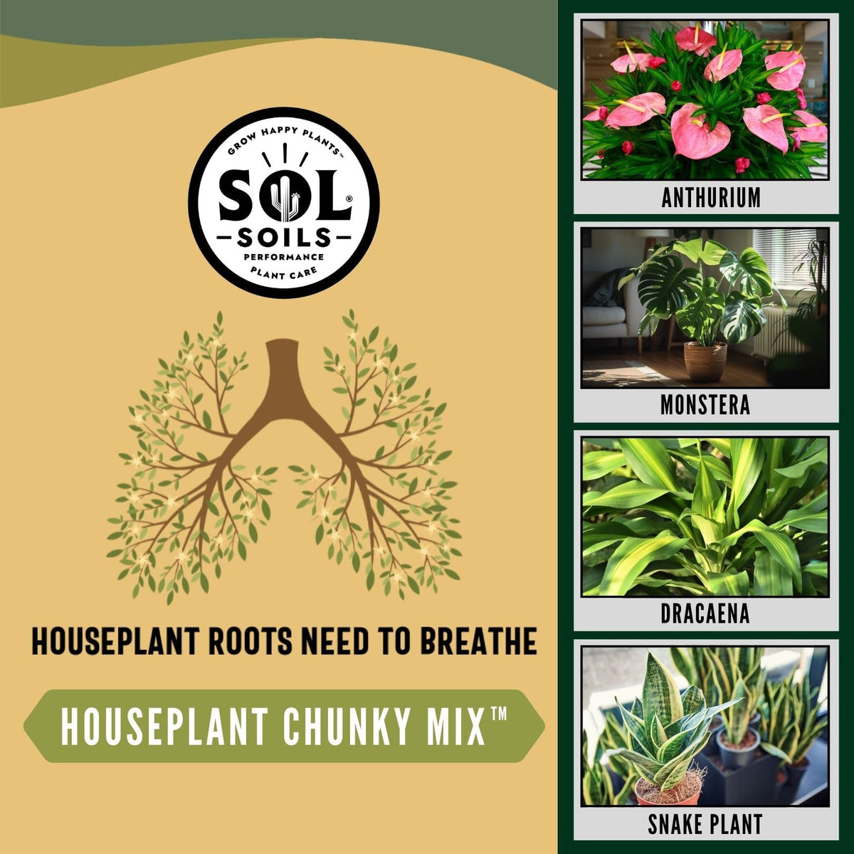 Sol Soils moisture-retention texture helps plant care with less watering.