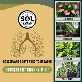 Sol Soils LECA-pine-bark detail illustrates aeration benefits for healthier root systems.