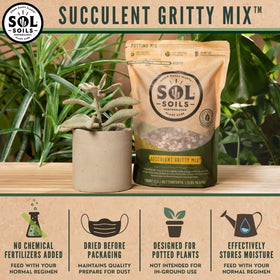 Sol Soils mix with perlite and pumice demonstrates airy texture for roots.