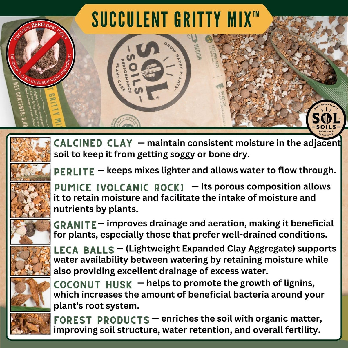 Sol Soils succulent mix in a pot shows strong drainage and controlled moisture.