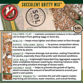 Sol Soils succulent mix in a pot shows strong drainage and controlled moisture.