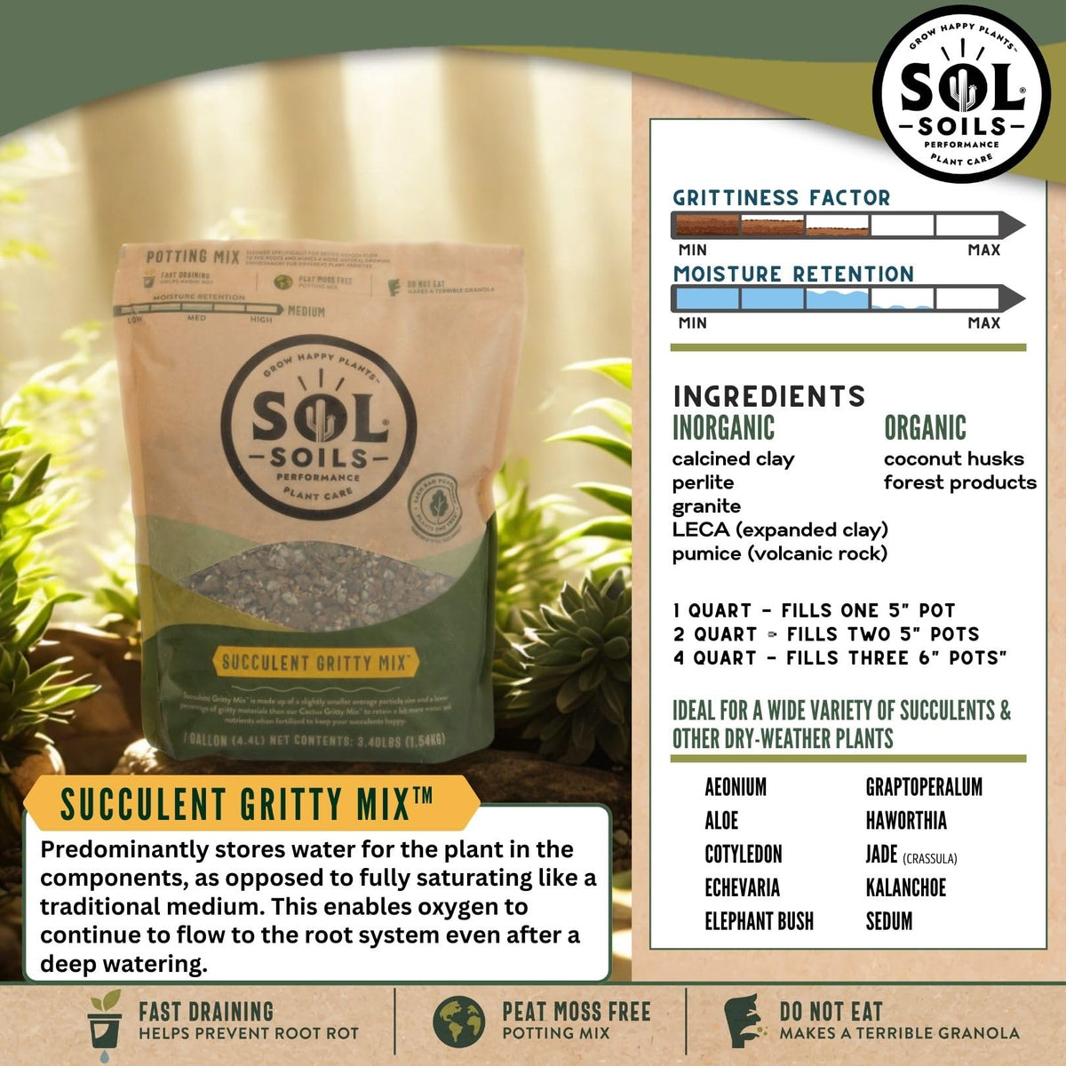 Sol Soils root health closeup reveals healthy, well-aerated roots.