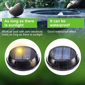Solaceura Bird Bath Accessory enhances a serene garden ambiance.