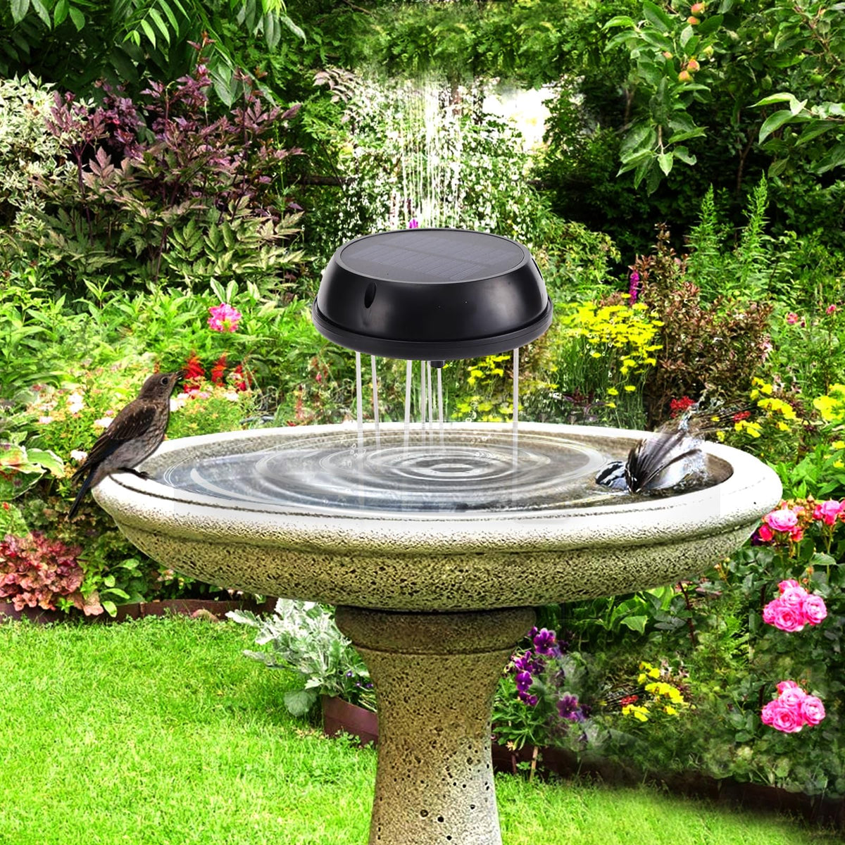 Solaceura Bird Bath Circular Ripples creating flowing-water visuals for wildlife.