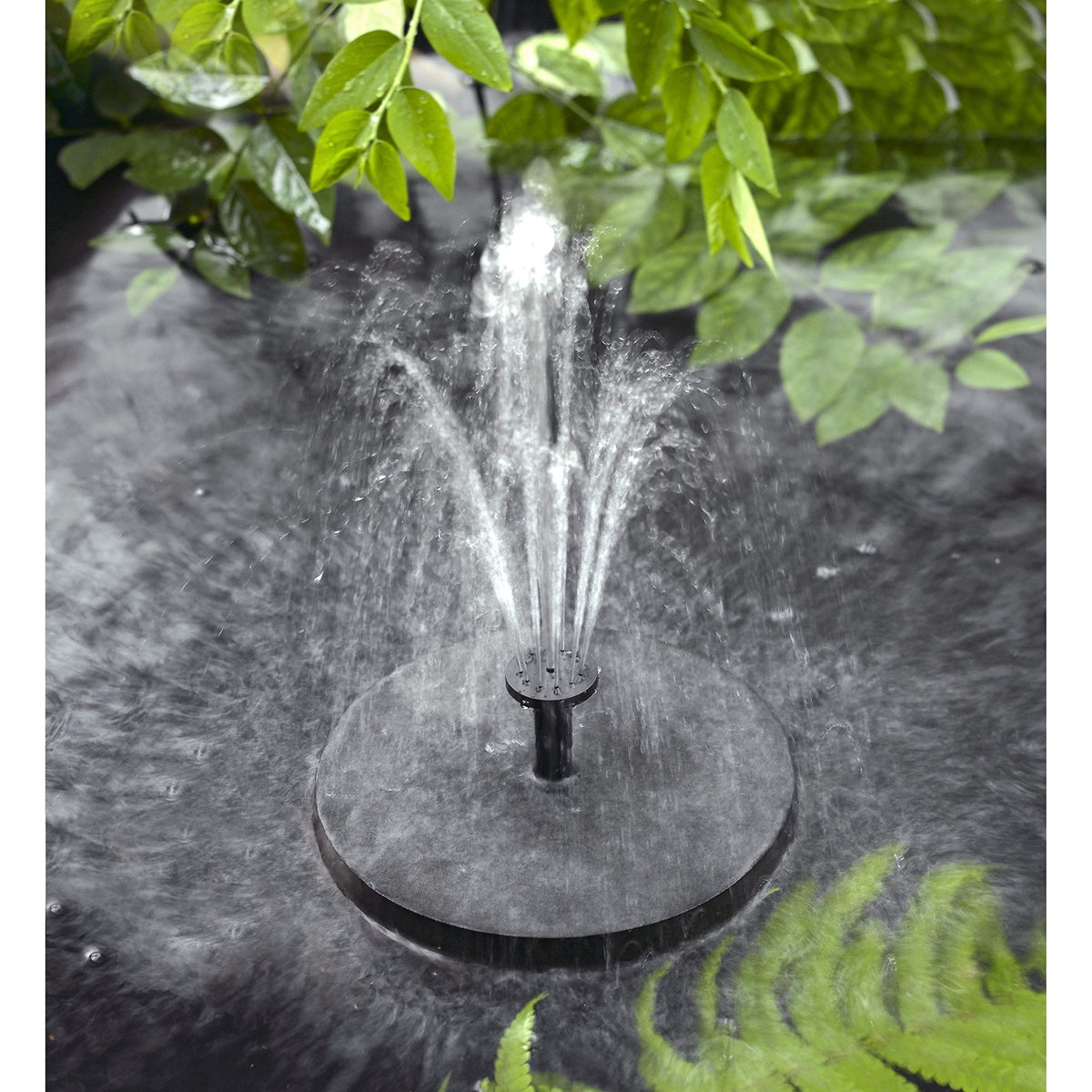 Solatec portable solar water pump for ponds pools or fish tanks