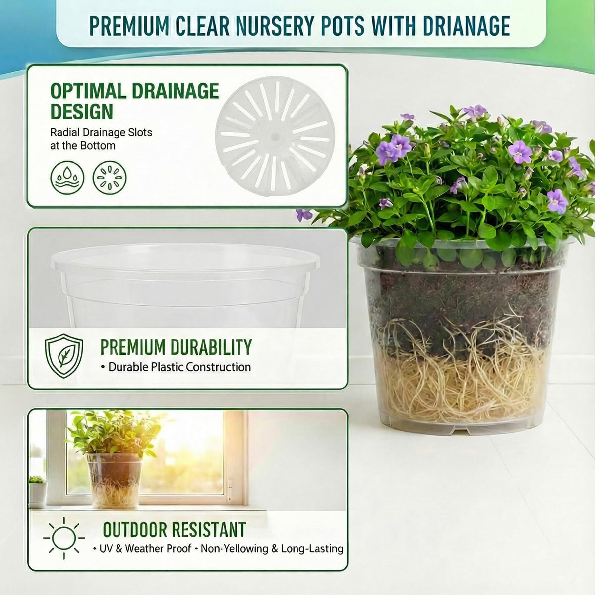 Solavelle clear nursery pot 10 inch insert enables root monitoring and moisture awareness