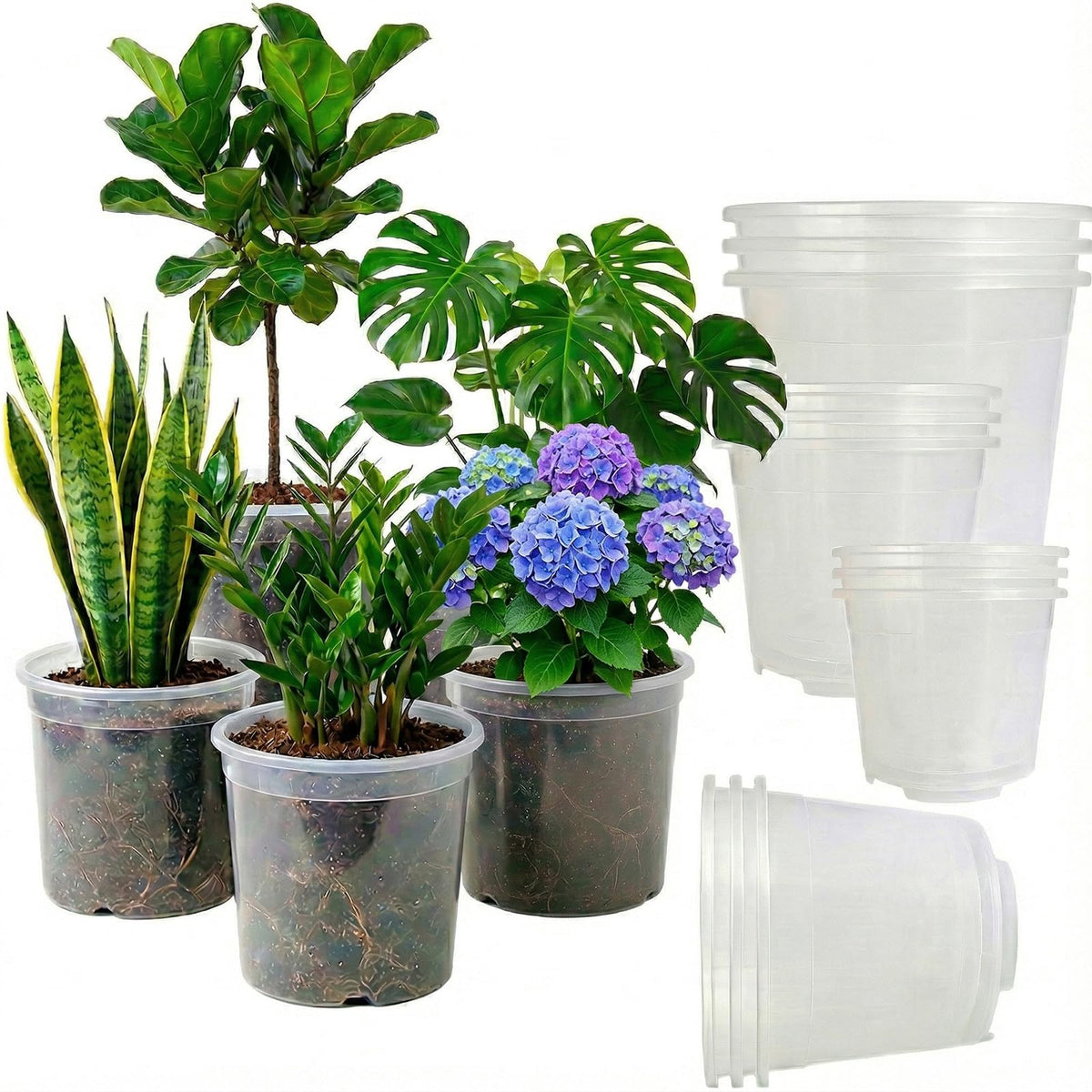 Solavelle clear nursery pot 6.5 inch insert for monitoring root health and moisture