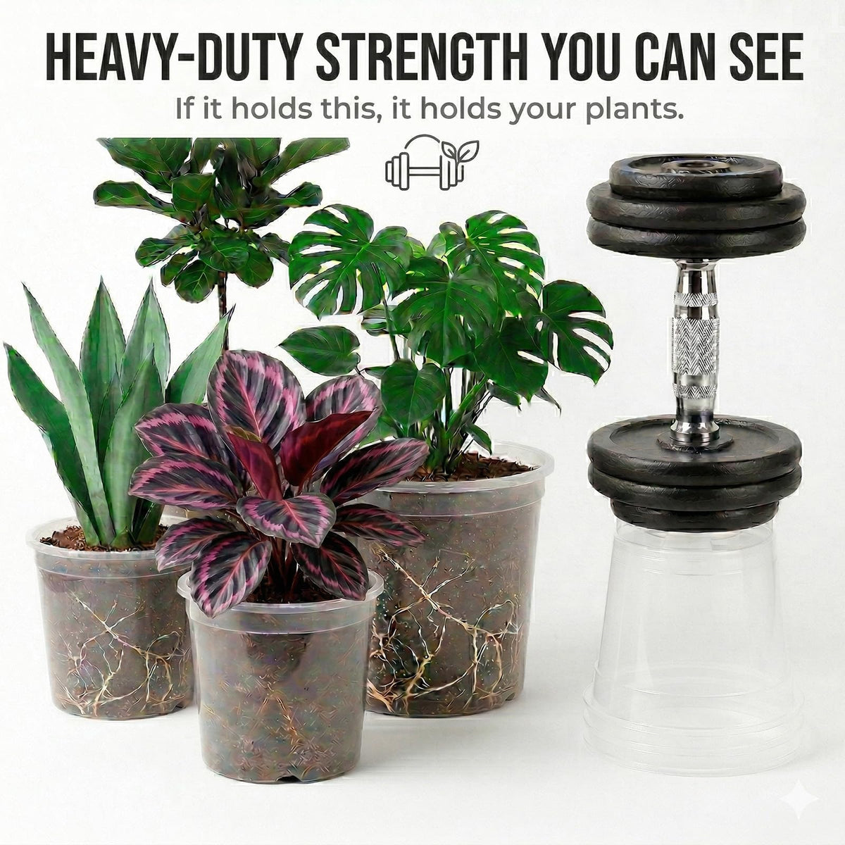 Solavelle clear nursery pot 7.5 inch insert aids visible moisture control for tropical plants