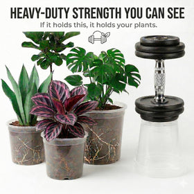 Solavelle clear nursery pot 7.5 inch insert aids visible moisture control for tropical plants