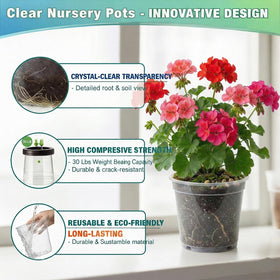 Solavelle clear nursery pot 8 inch insert supports healthy roots with better drainage observation