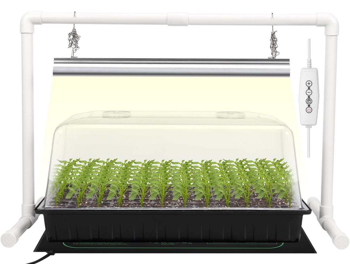 SOLIGT 1020 seed starter kit setup for organized germination.