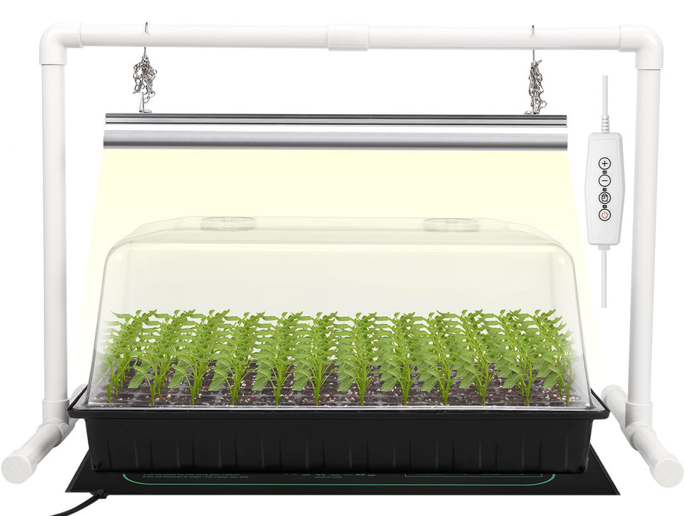 SOLIGT 1020 seed starter kit setup for organized germination.