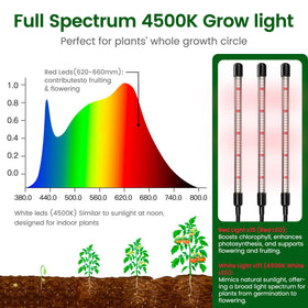 SOLIGT 4.3-inch humidity dome helps maintain ideal environment for roots and strong seedlings