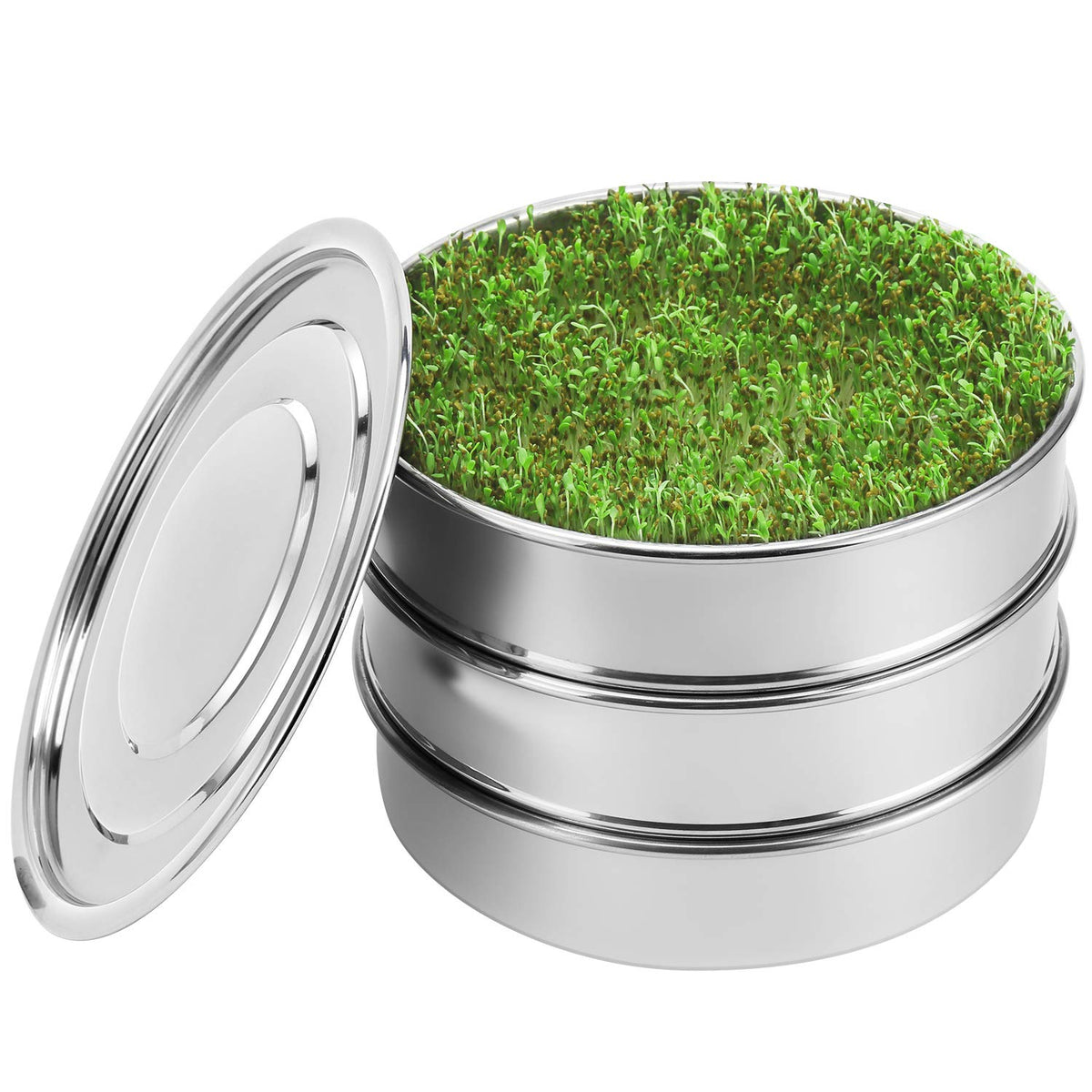 SOLIGT 8-inch base sprouting tray with fine mesh for drainage.