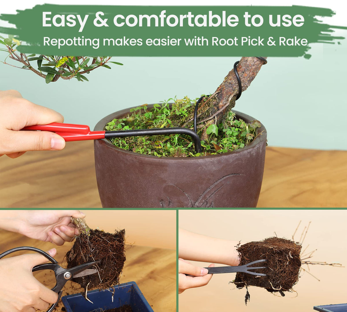 SOLIGT concave cutter refines roots during repotting.