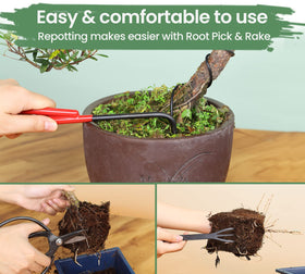 SOLIGT concave cutter refines roots during repotting.