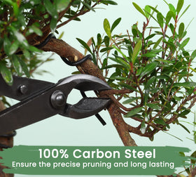 SOLIGT large butterfly shear helps shape with clean, smooth cuts.