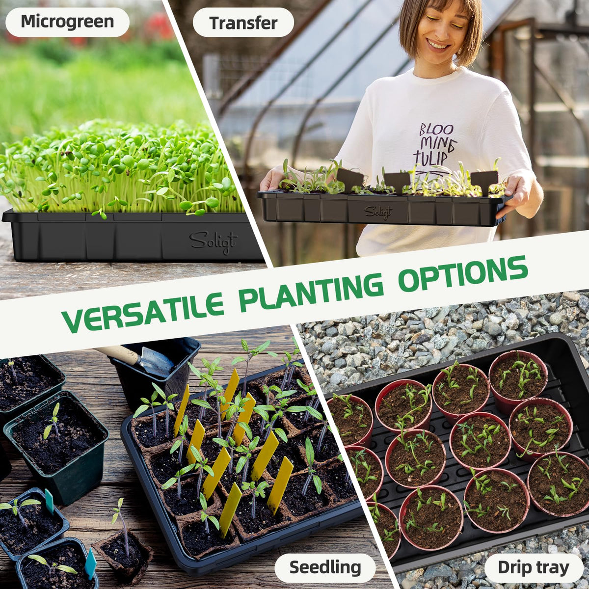SOLIGT bottom watering capable tray promotes efficient moisture management for seedlings.