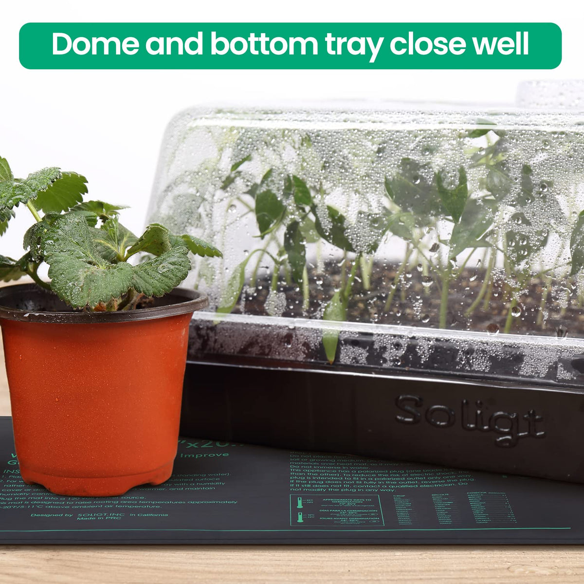 SOLIGT complete propagation station supports herbs and leafy greens.