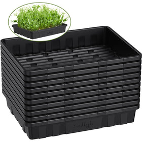 SOLIGT seed tray top view in a 10-pack for organized seed starting.