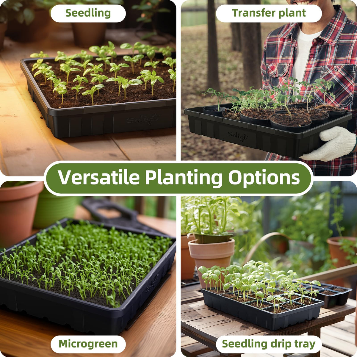 SOLIGT no-hole seed tray close-up highlighting mess-free bottom watering.