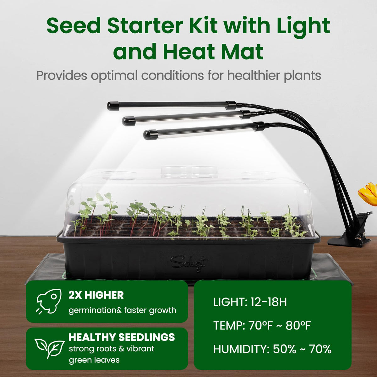 SOLIGT seed starting tray setup with humidity dome supports controlled moisture for seedlings