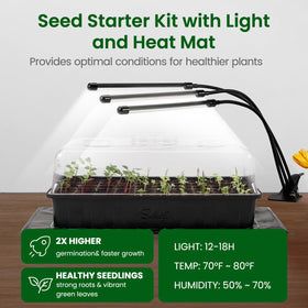 SOLIGT seed starting tray setup with humidity dome supports controlled moisture for seedlings
