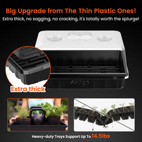 SOLIGT seed trays with humidity domes fit on a windowsill for easy germination.