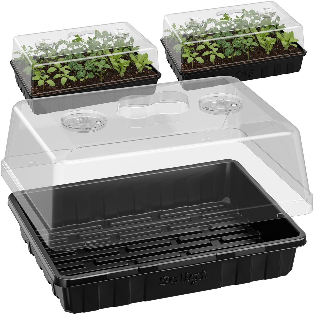 SOLIGT seed trays with humidity domes support germination through humidity control and light.