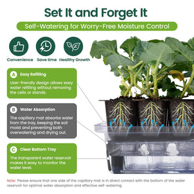 SOLIGT seedling dome with adjustable vents to regulate temperature and humidity.